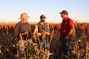 The State of Agriculture in Australia in 2021